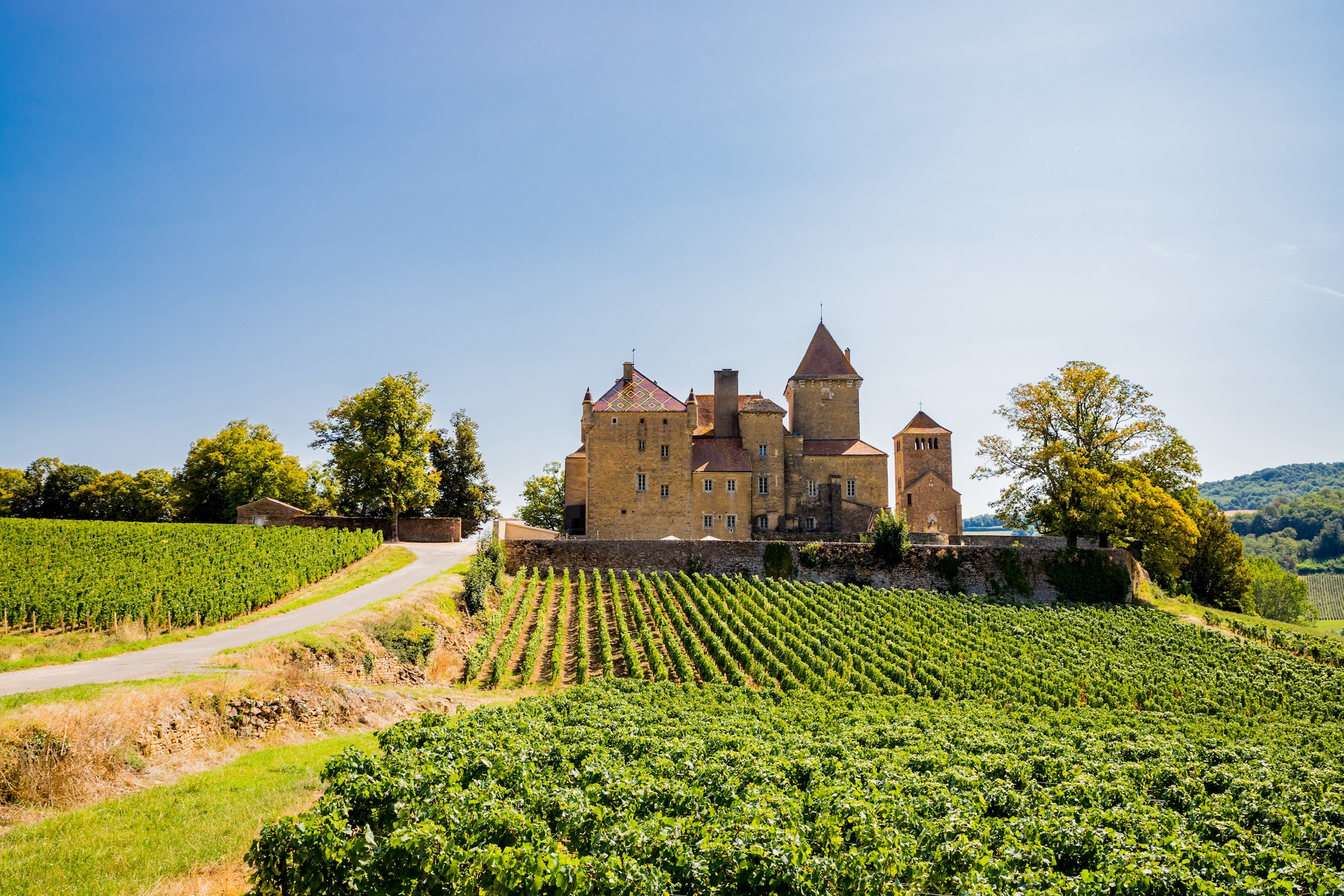 burgundy-castle burgundy-castle-vineyard