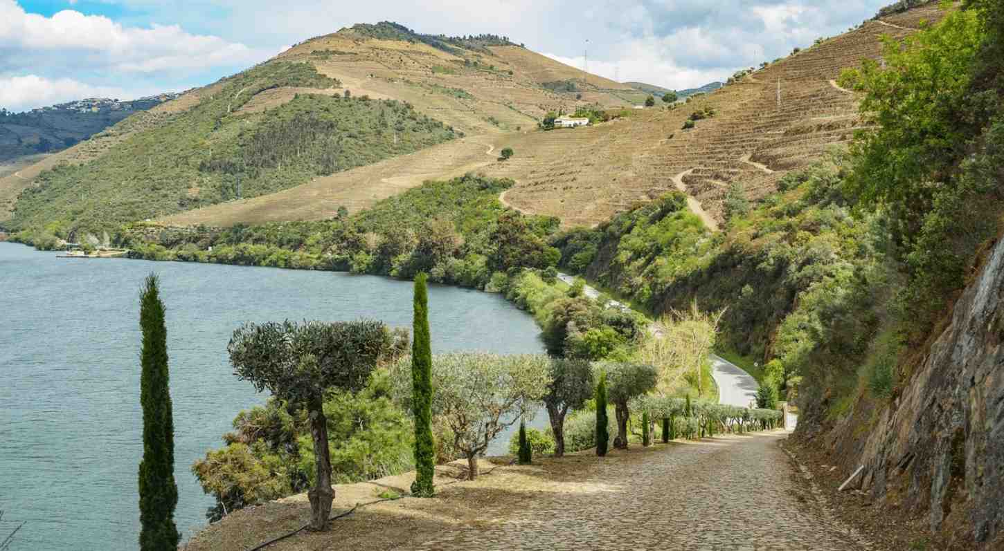 douro-valley-road douro-valley-pavec-road-river